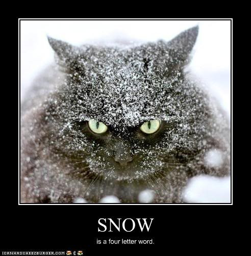 Snow Day Quotes Funny
 Snow Day Funny Quotes QuotesGram