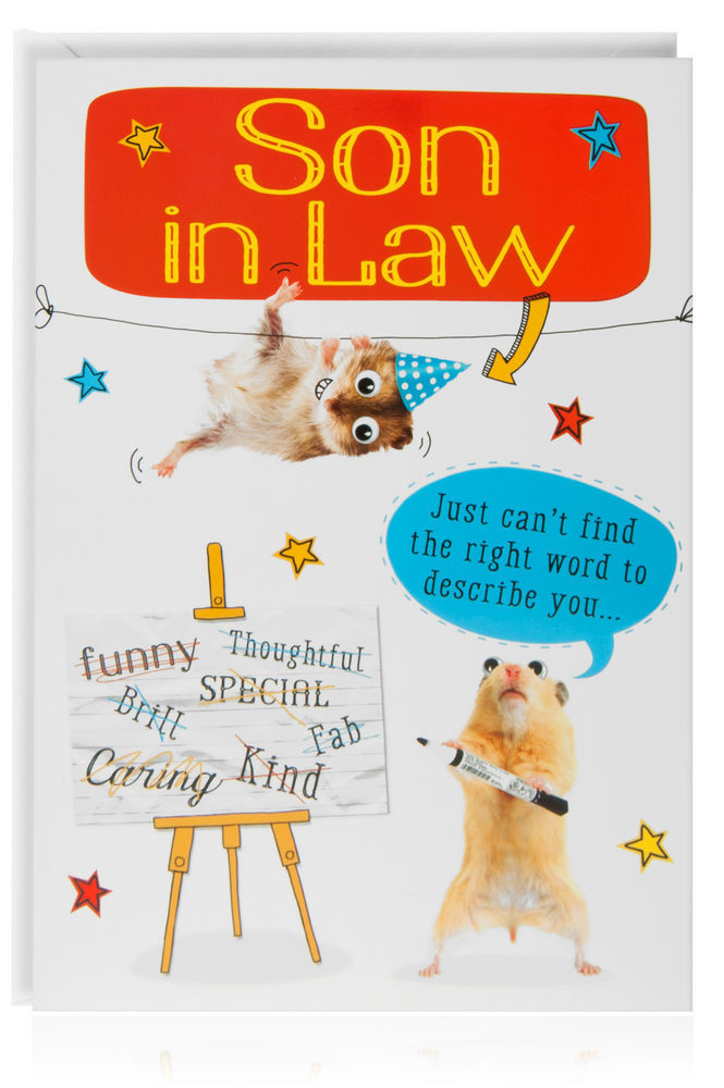 Son In Law Birthday Card
 SON IN LAW Birthday Funny Humour Joke Card Greetings