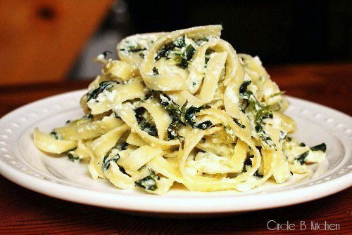 Spaghetti With Ricotta Cheese
 Pasta with Spinach and Ricotta Cheese — Circle B Kitchen