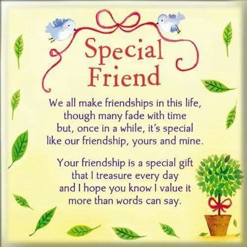 Special Friend Birthday Quote
 Special Friend quotes quote friend friendship quotes