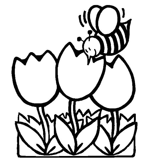 Spring Toddler Coloring Pages
 Spring Coloring Pages 2018 Dr Odd