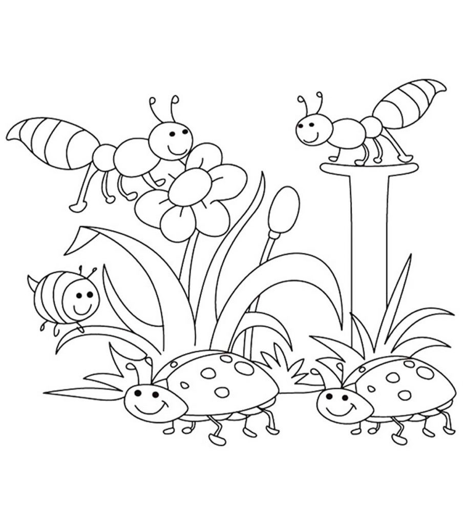 Spring Toddler Coloring Pages
 Top 35 Free Printable Spring Coloring Pages line