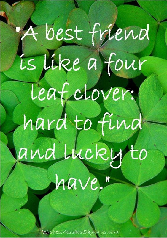 St Patrick Day Birthday Quotes
 Pin on Friend Messages and Quotes