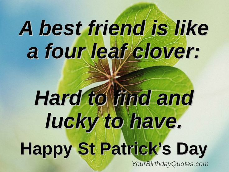 St Patrick Day Birthday Quotes
 55 Most Beautiful Saint Patrick’s Day Wish And