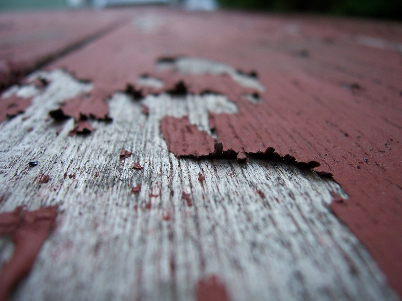 Stain Vs Paint Deck
 Decking 101 Stain vs Paint vs Seal Wood It s Real