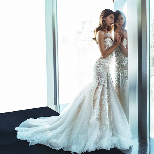 Steven Khalil Wedding Dresses
 Steven Khalil 2014 Spring Bridal Collection III