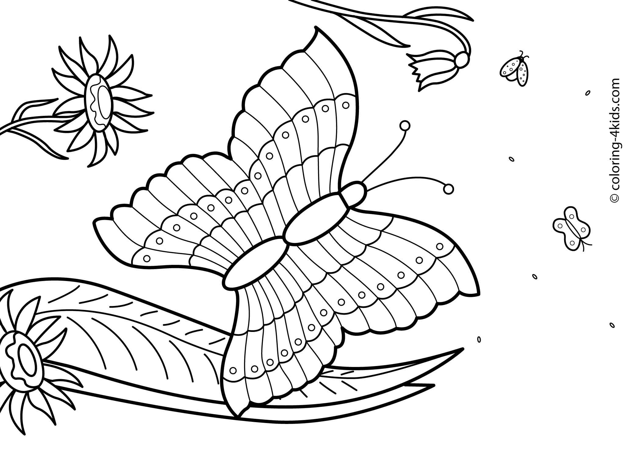 Summer Coloring Sheets For Kids
 27 Summer season coloring pages part 2