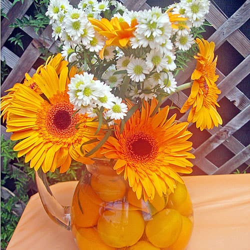 Summer Solstice Party Ideas Themes
 Summer Solstice Party Tablespoon