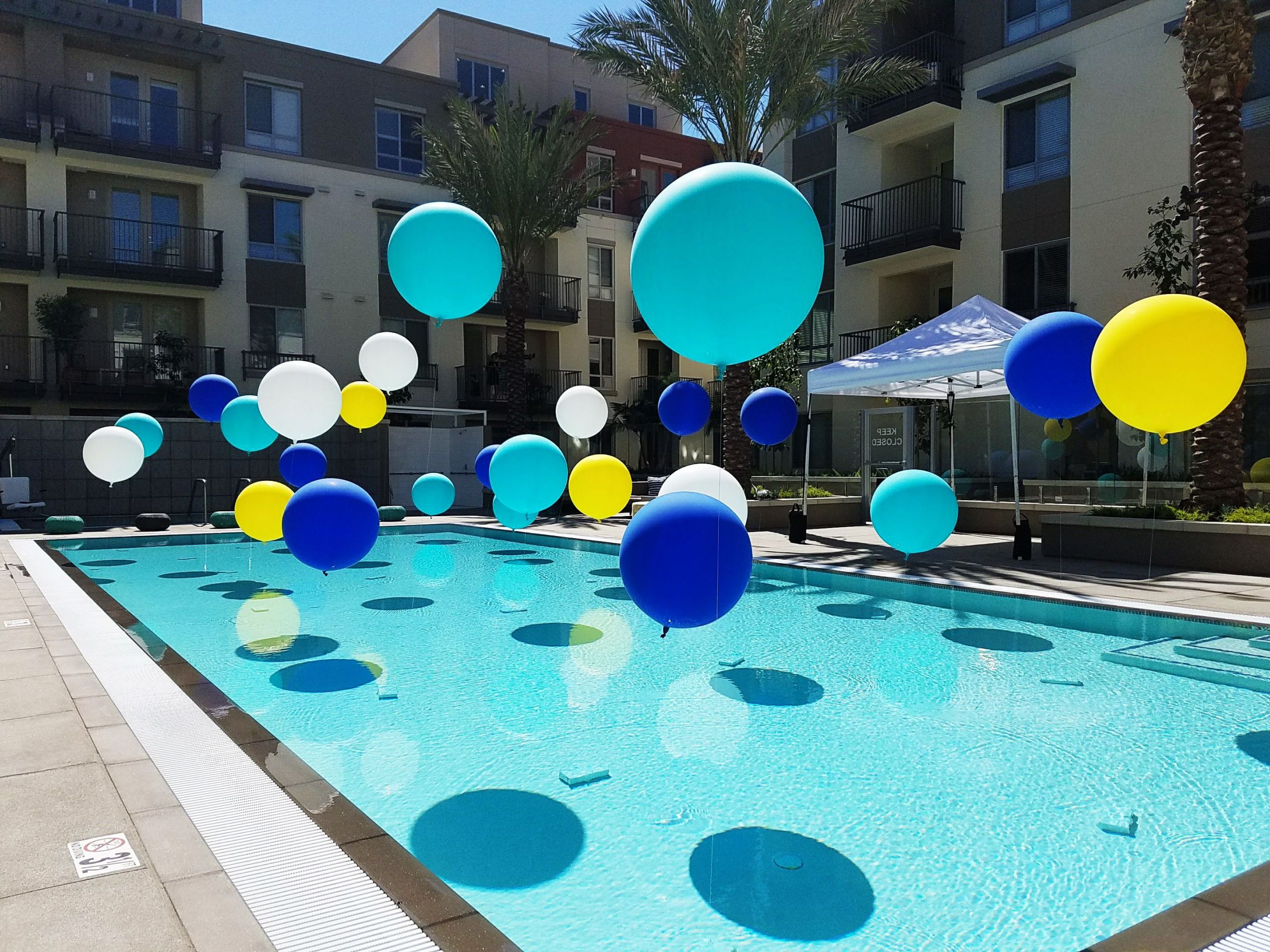 Swimming Pools Party Ideas
 Pool balloons summer party pool party party ideas in