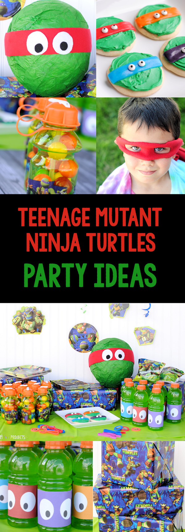 Teenage Mutant Ninja Turtle Birthday Party Ideas
 Teenage Mutant Ninja Turtle Party Ideas