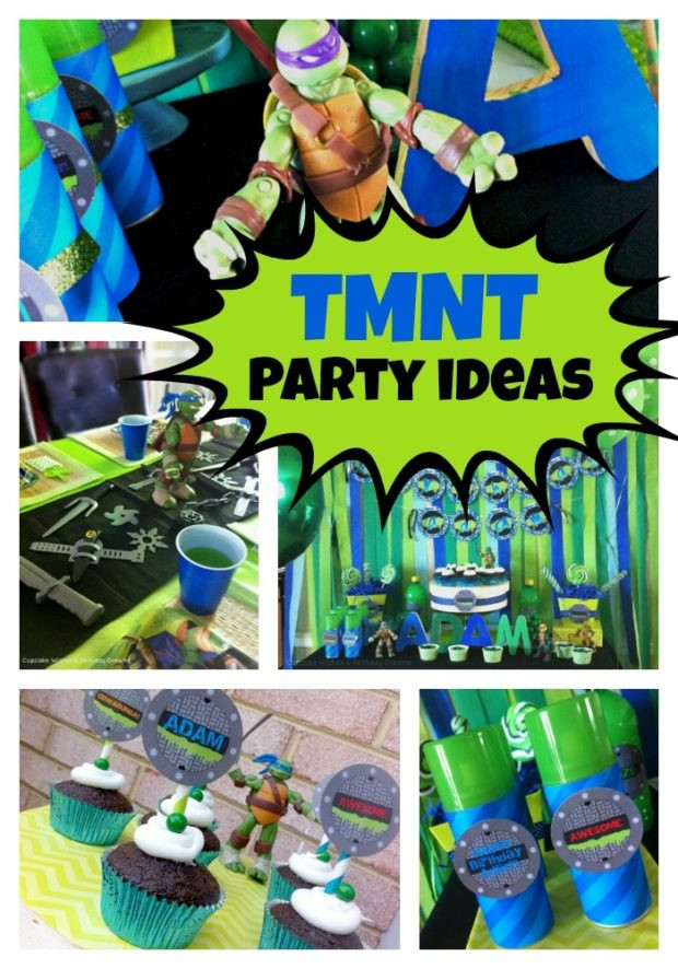 Teenage Mutant Ninja Turtle Birthday Party Ideas
 Teenage Mutant Ninja Turtles Birthday Party Spaceships