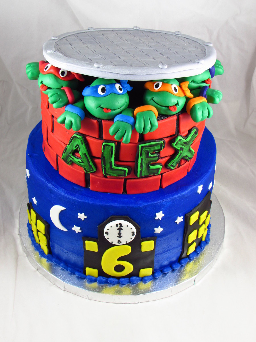 Teenage Mutant Ninja Turtles Birthday Cakes
 Teenage Mutant Ninja Turtles Birthday Cake CakeCentral