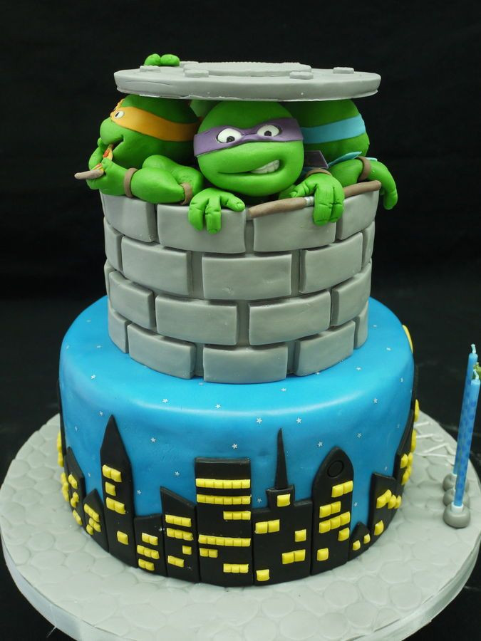 Teenage Mutant Ninja Turtles Birthday Cakes
 Teenage Mutant Ninja Turtles Party Ideas