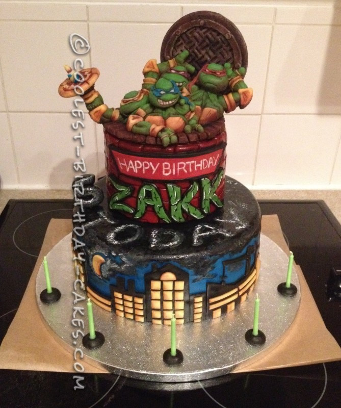 Teenage Mutant Ninja Turtles Birthday Cakes
 Amazing Teenage Mutant Ninja Turtles Birthday Cake