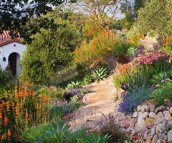Terrace Landscape Desert
 This Planting Guide Solves All of Your Sloped Garden