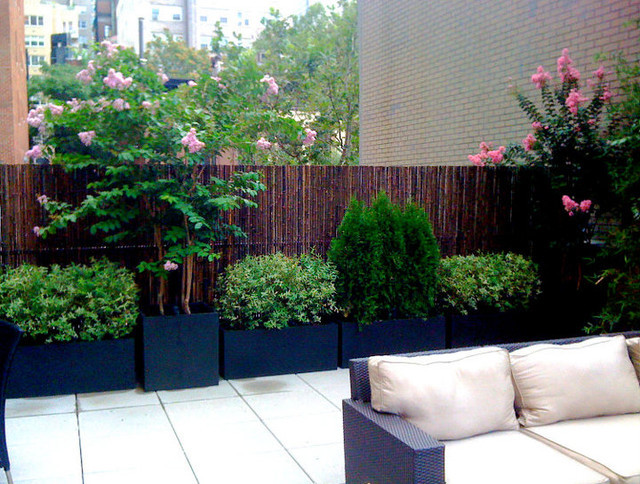 Terrace Landscape With Trees
 NYC Roof Garden Bamboo Fence Terrace Deck Paver Patio