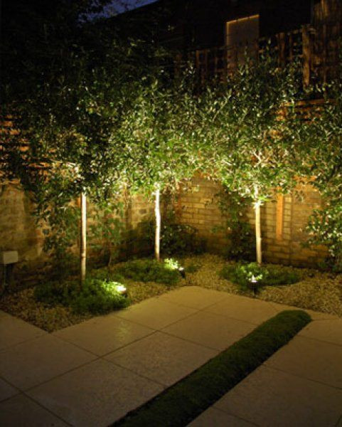 Terrace Landscape With Trees
 Uplit trees and minimal planting Very effective