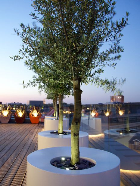 Terrace Landscape With Trees
 Modern outdoor planters bespoke garden planter designs