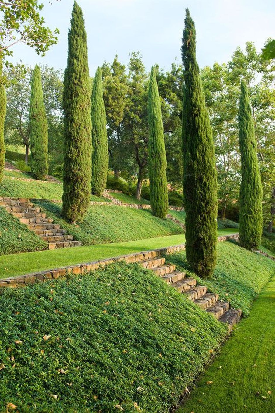 Terrace Landscape With Trees
 That is How to Make Garden Steps on a Slope 14 Hoommy