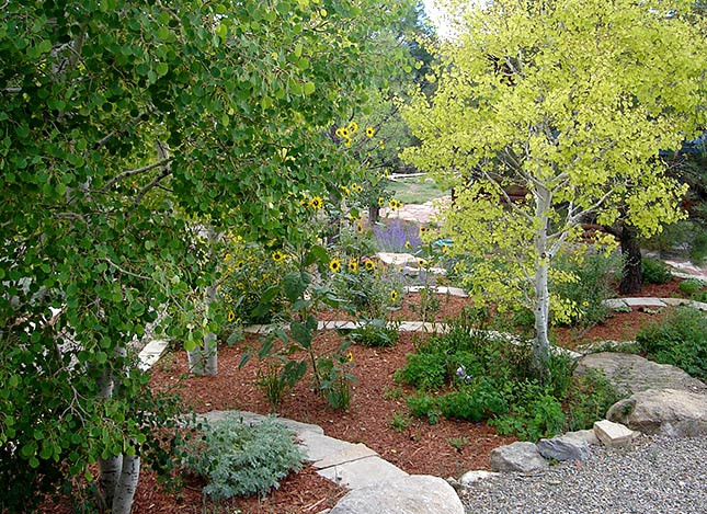 Terrace Landscape With Trees
 Landscaping & Xeriscaping