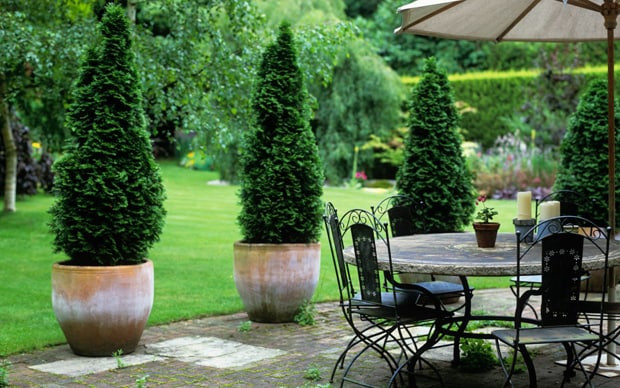 Terrace Landscape With Trees
 How to decorate with trees Telegraph