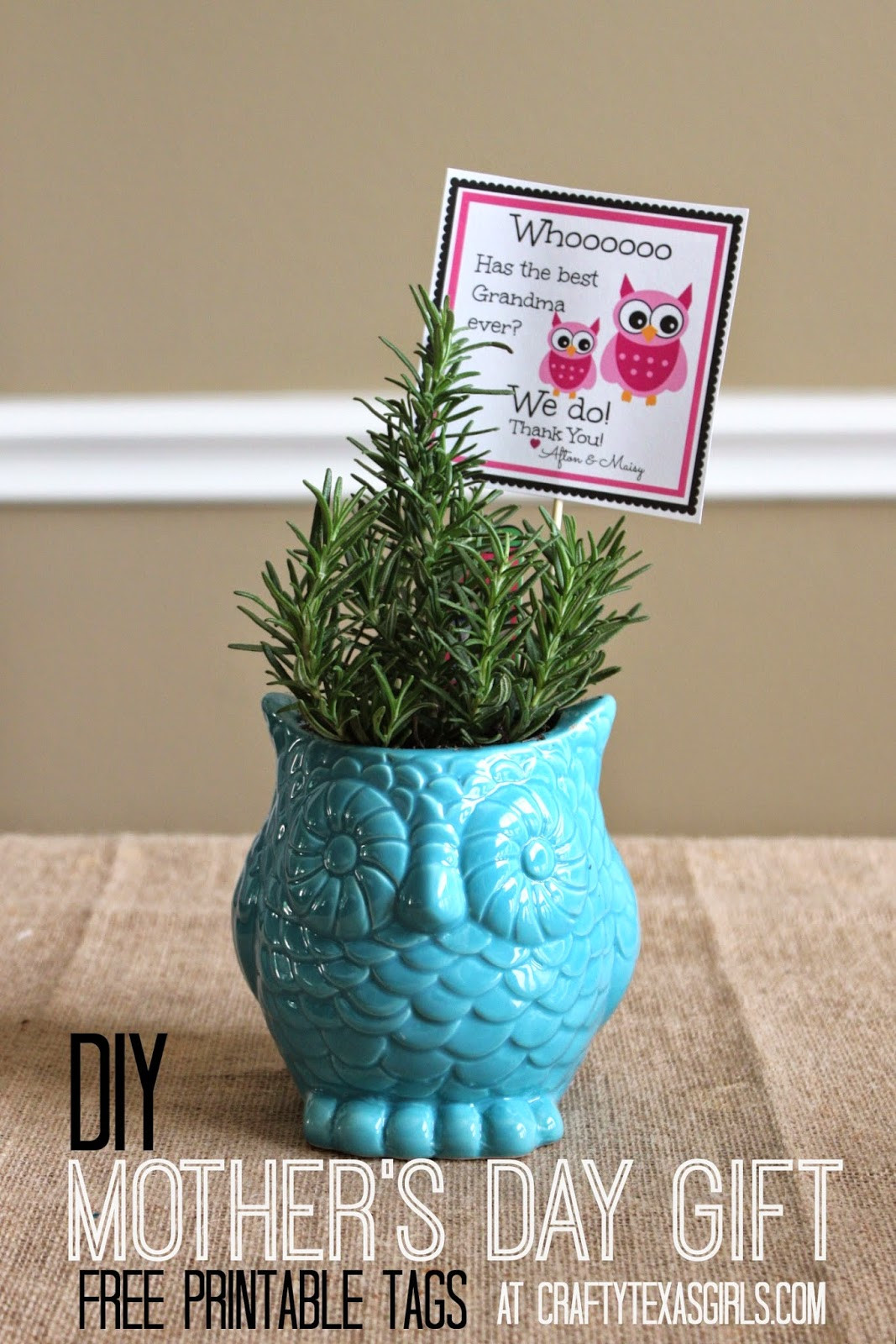 Texas Gifts For Kids
 Crafty Texas Girls DIY Gift Idea with an Owl Printable