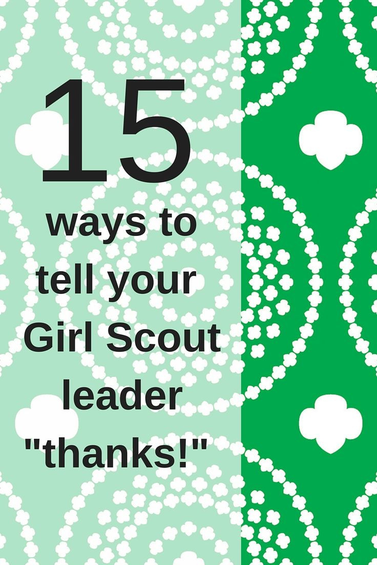 Thank You Gift Ideas For Girl Scout Leaders
 107 best images about Volunteer Appreciation on Pinterest
