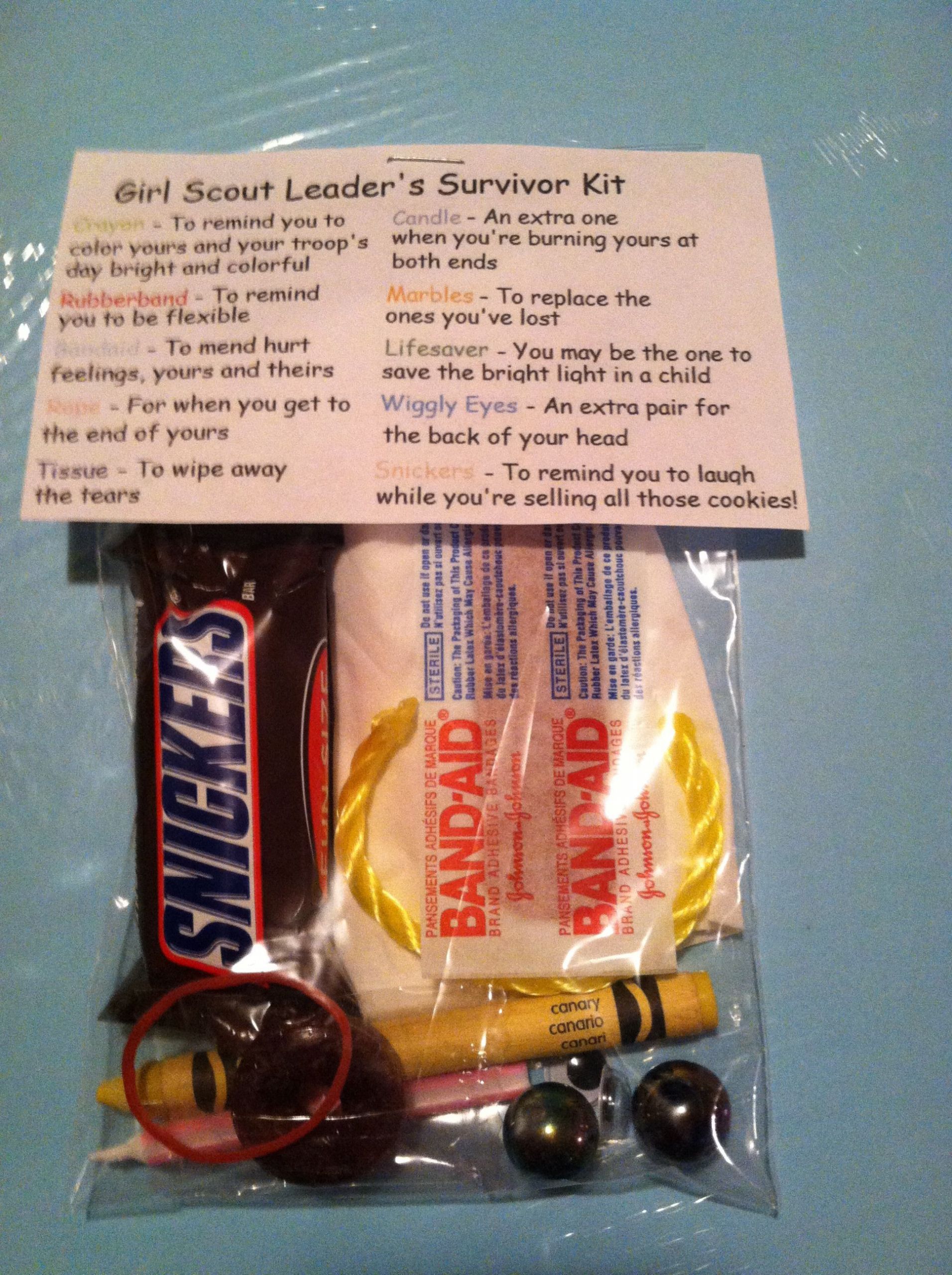 Thank You Gift Ideas For Girl Scout Leaders
 Girl Scout leader survival kit my Honor
