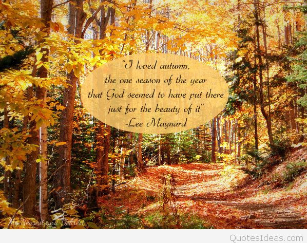 Thanksgiving Quotes Beautiful
 thanksgiving quotes