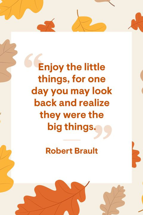 Thanksgiving Quotes Beautiful
 32 Best Happy Thanksgiving Quotes Sayings About Gratitude