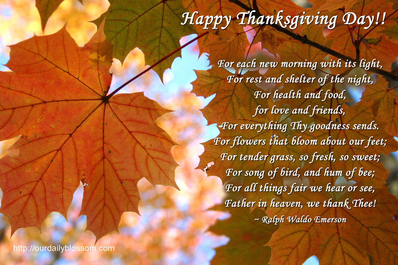Thanksgiving Quotes Beautiful
 Happy Thanksgiving from Copperfield Hill Copperfield