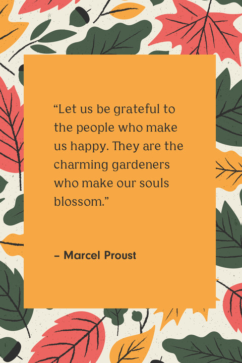 Thanksgiving Quotes Beautiful
 32 Best Happy Thanksgiving Quotes Sayings About Gratitude