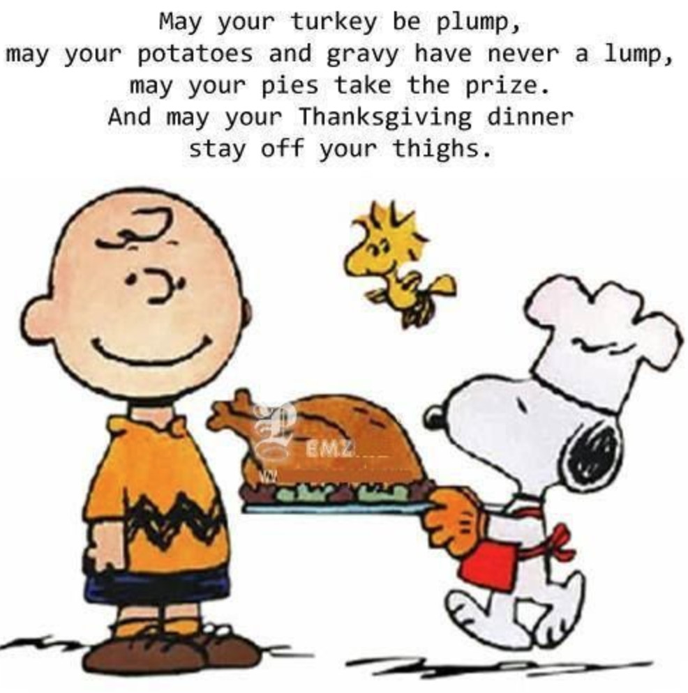 Thanksgiving Quotes Charlie Brown
 How To Survive Thanksgiving Fortune Inspired