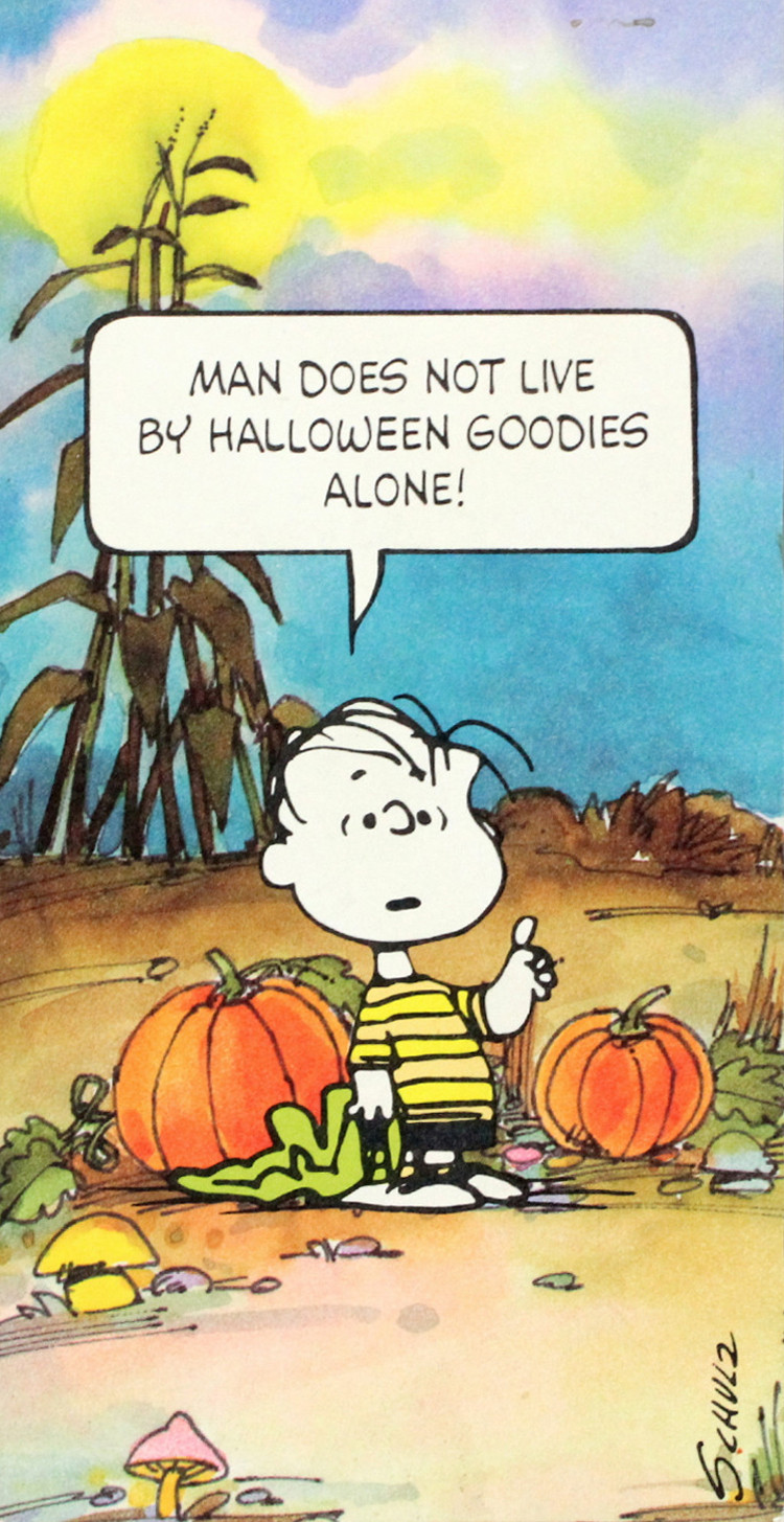 Thanksgiving Quotes Charlie Brown
 Snoopy Thanksgiving Quotes QuotesGram