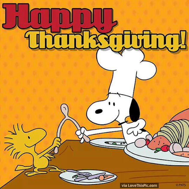 Thanksgiving Quotes Charlie Brown
 Snoopy And Woodstock Happy Thanksgiving Quote
