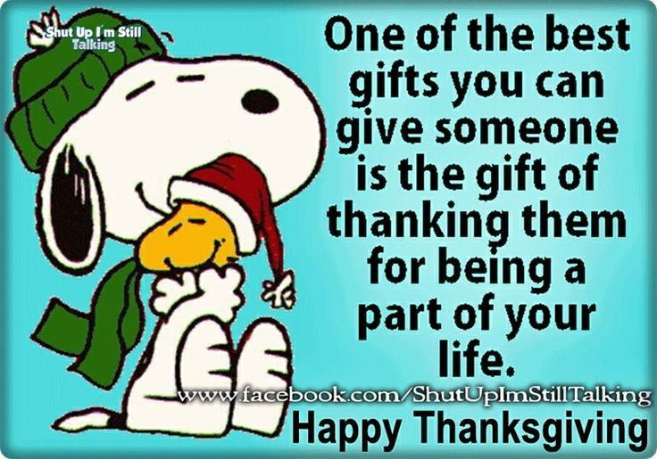Thanksgiving Quotes Charlie Brown
 Snoopy Hug Woodstock Thanksgiving Quote s