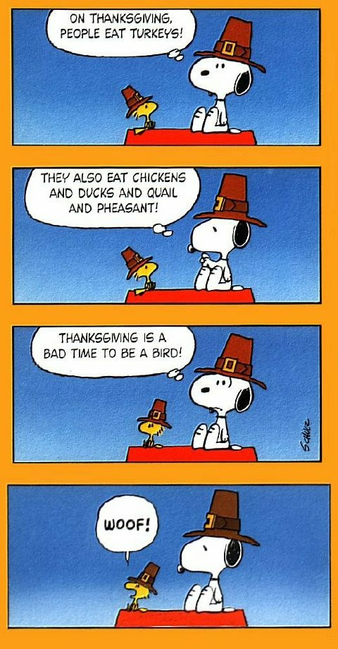 Thanksgiving Quotes Charlie Brown
 Funny Quotes From Snoopy QuotesGram