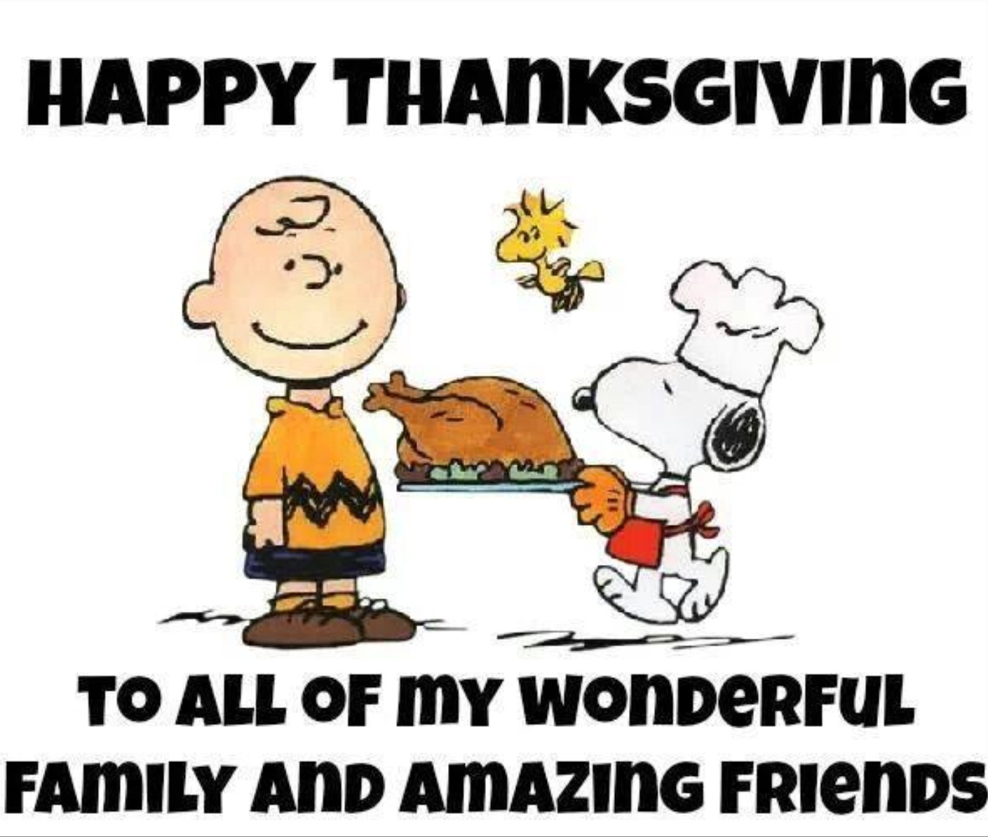 Thanksgiving Quotes Charlie Brown
 Charlie Brown Thanksgiving Quotes QuotesGram