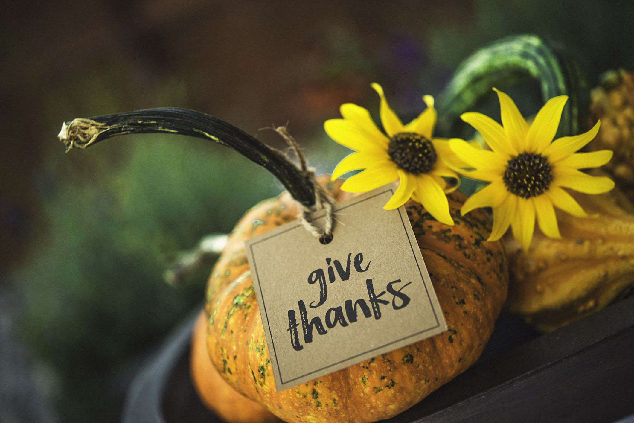 Thanksgiving Quotes Christian
 14 Christian Thanksgiving Quotes on Gratitude