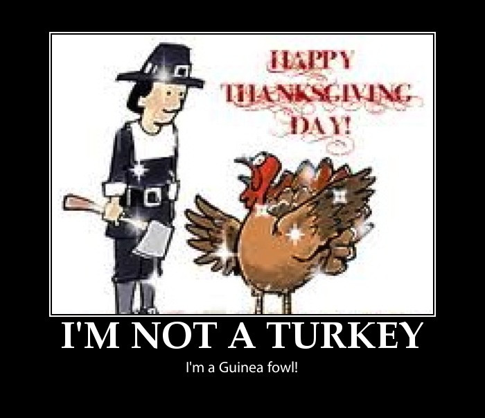 Thanksgiving Quotes Hilarious
 Funny thanksgiving pictures happy thanksgiving pictures