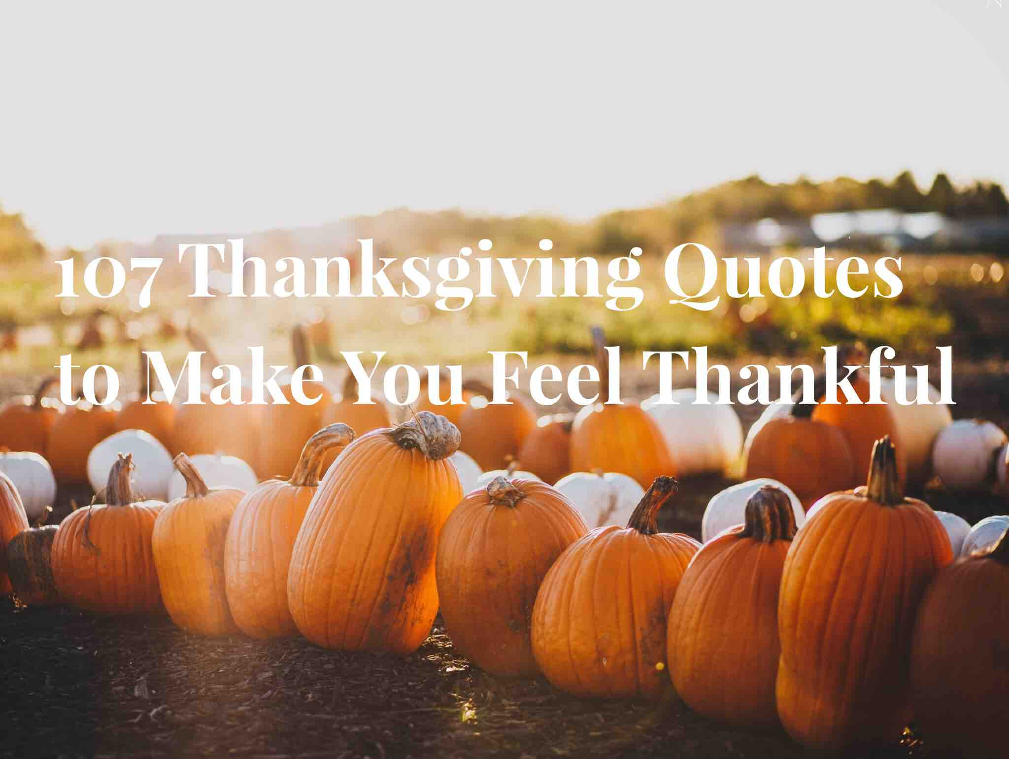 Thanksgiving Quotes Short
 107 Thanksgiving Quotes to Make You Feel Thankful