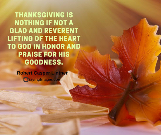 Thanksgiving Quotes Short
 30 Inspiring Happy Thanksgiving Quotes For Family And