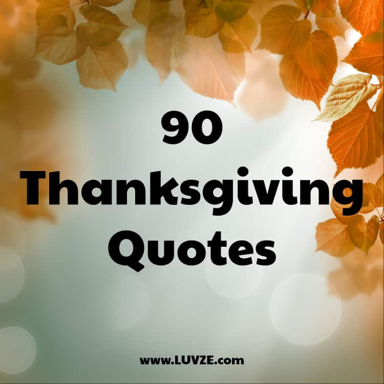 Thanksgiving Quotes Thanksgivingquotes
 90 Happy Thanksgiving Quotes Sayings And Messages