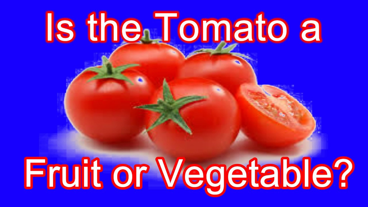 Tomato A Fruit
 Is the tomato a fruit or ve able