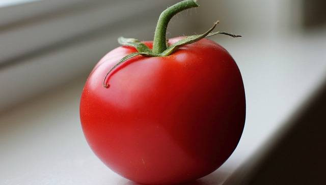 Tomato A Fruit
 Is a tomato a ve able or a fruit