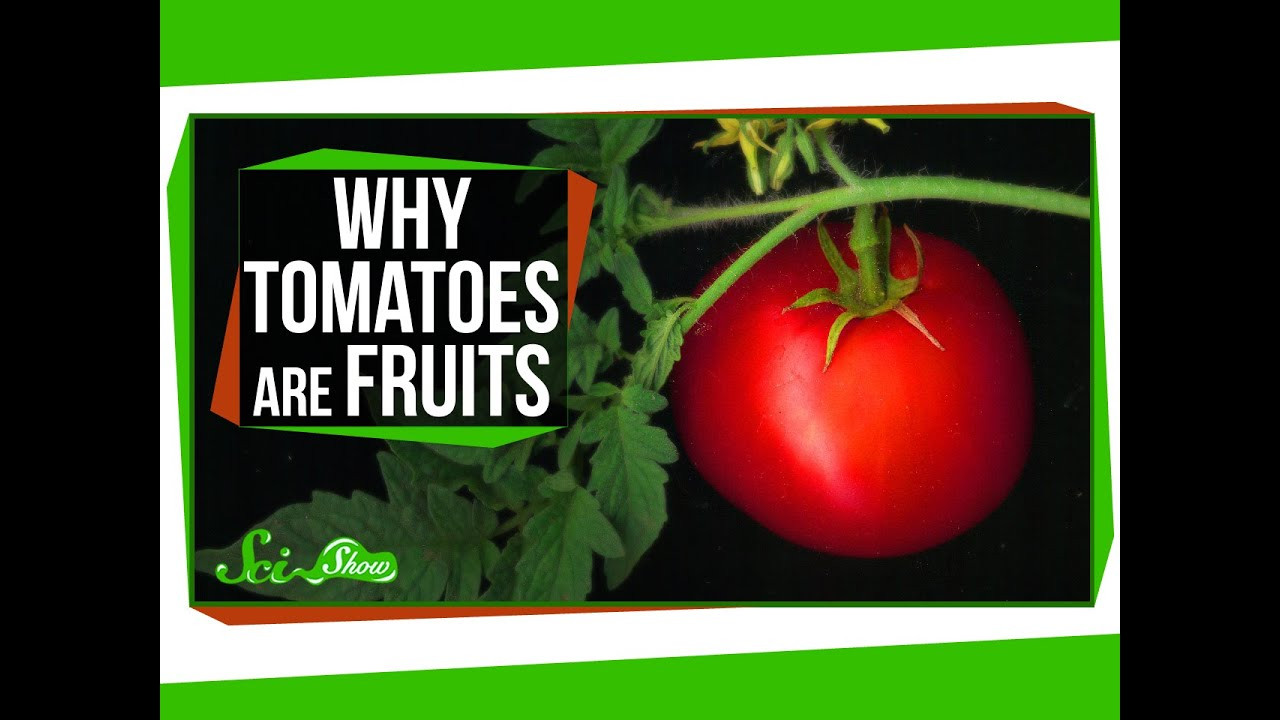 Tomato A Fruit
 Why Tomatoes Are Fruits and Strawberries Aren t Berries