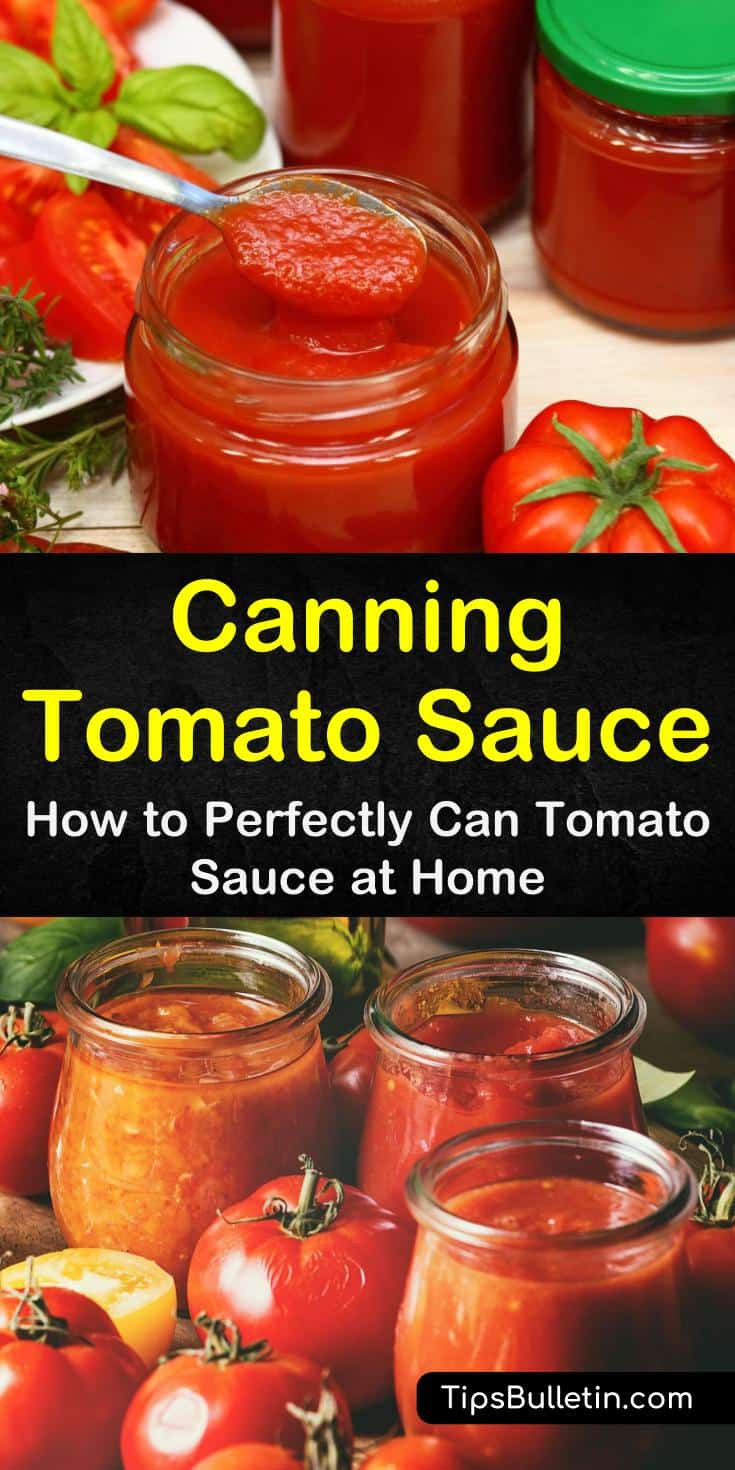Tomato Sauce Canning Recipe
 Canning Tomato Sauce How to Perfectly Can Tomato Sauce