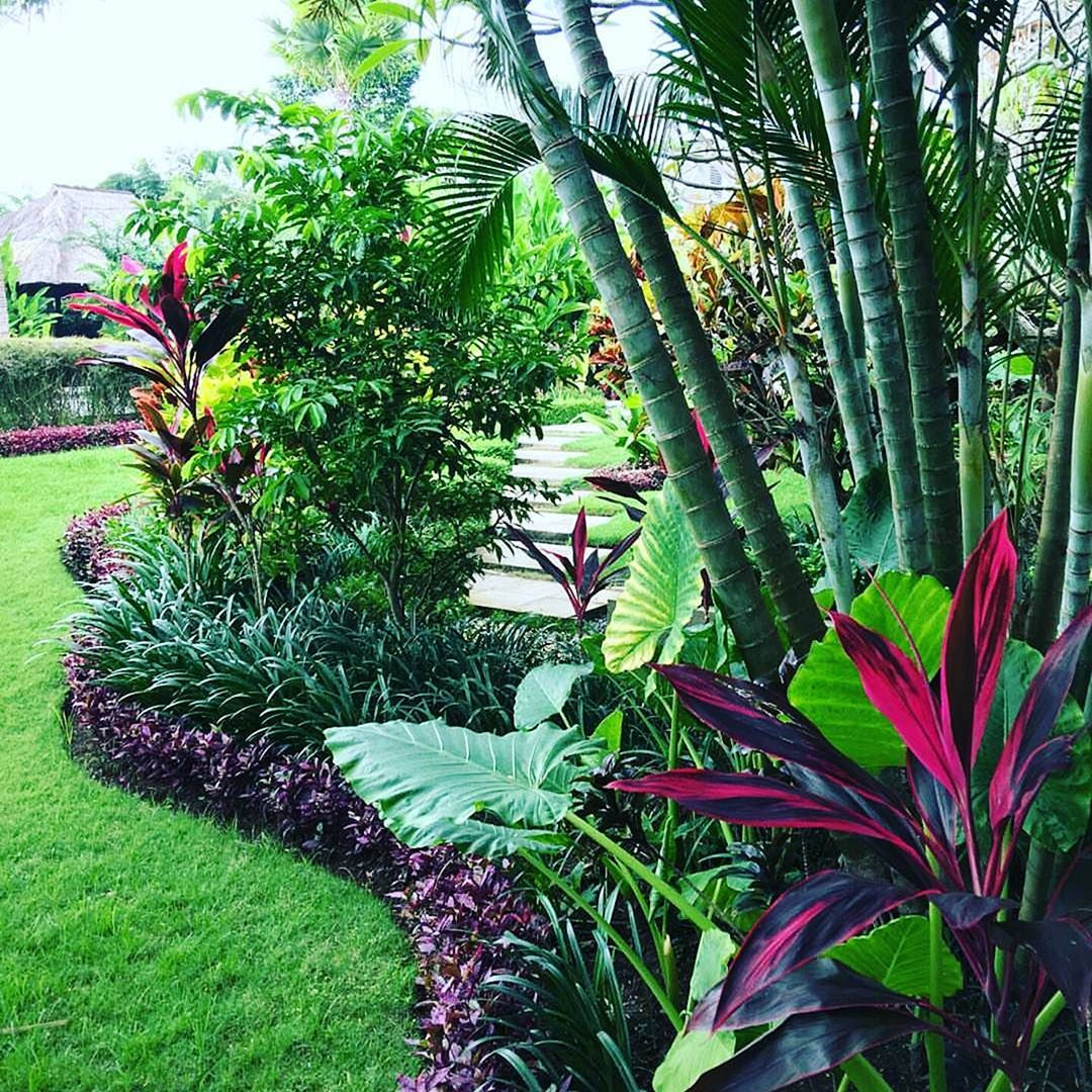 Tropical Backyard Plants
 15 Beautiful Tropical Front Yard Landscape Ideas To Make
