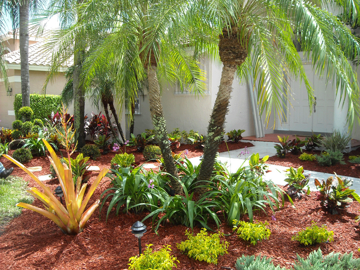 Tropical Backyard Plants
 Impressive Landscape Design Ideas with Modern Seating Area