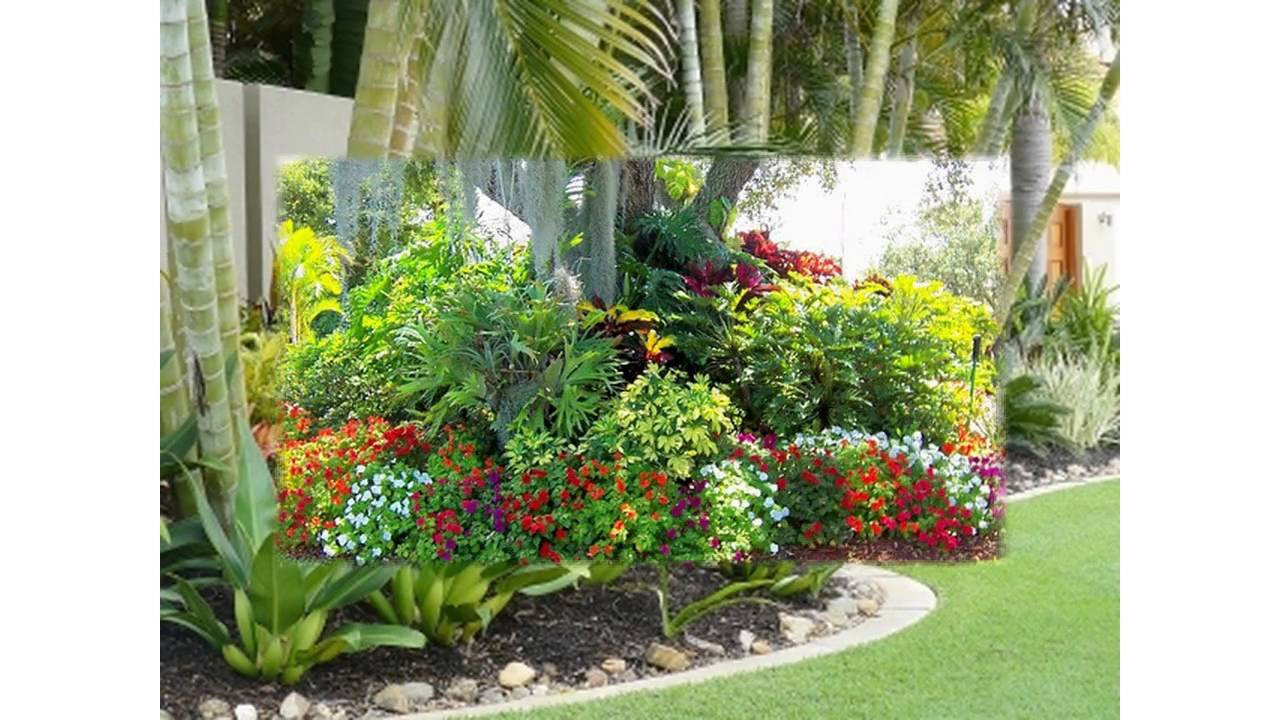 Tropical Backyard Plants
 Small tropical garden ideas